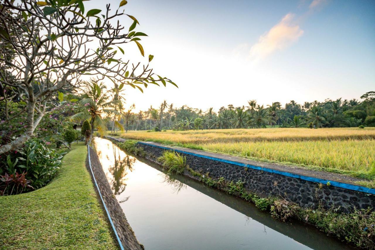Villa Taman Di Blayu By Nagisa Bali Selemadeg Exterior foto